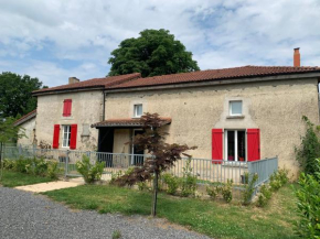 Le marronnier entre Les Buis